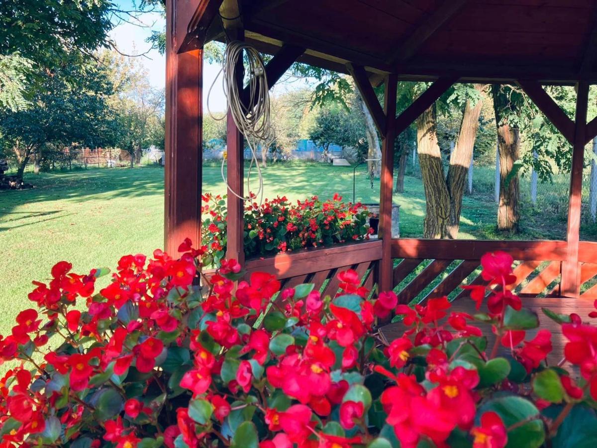 Ibolya Vendeghaz Daire Kehidakustány Dış mekan fotoğraf